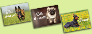 foto3-pag-accessori