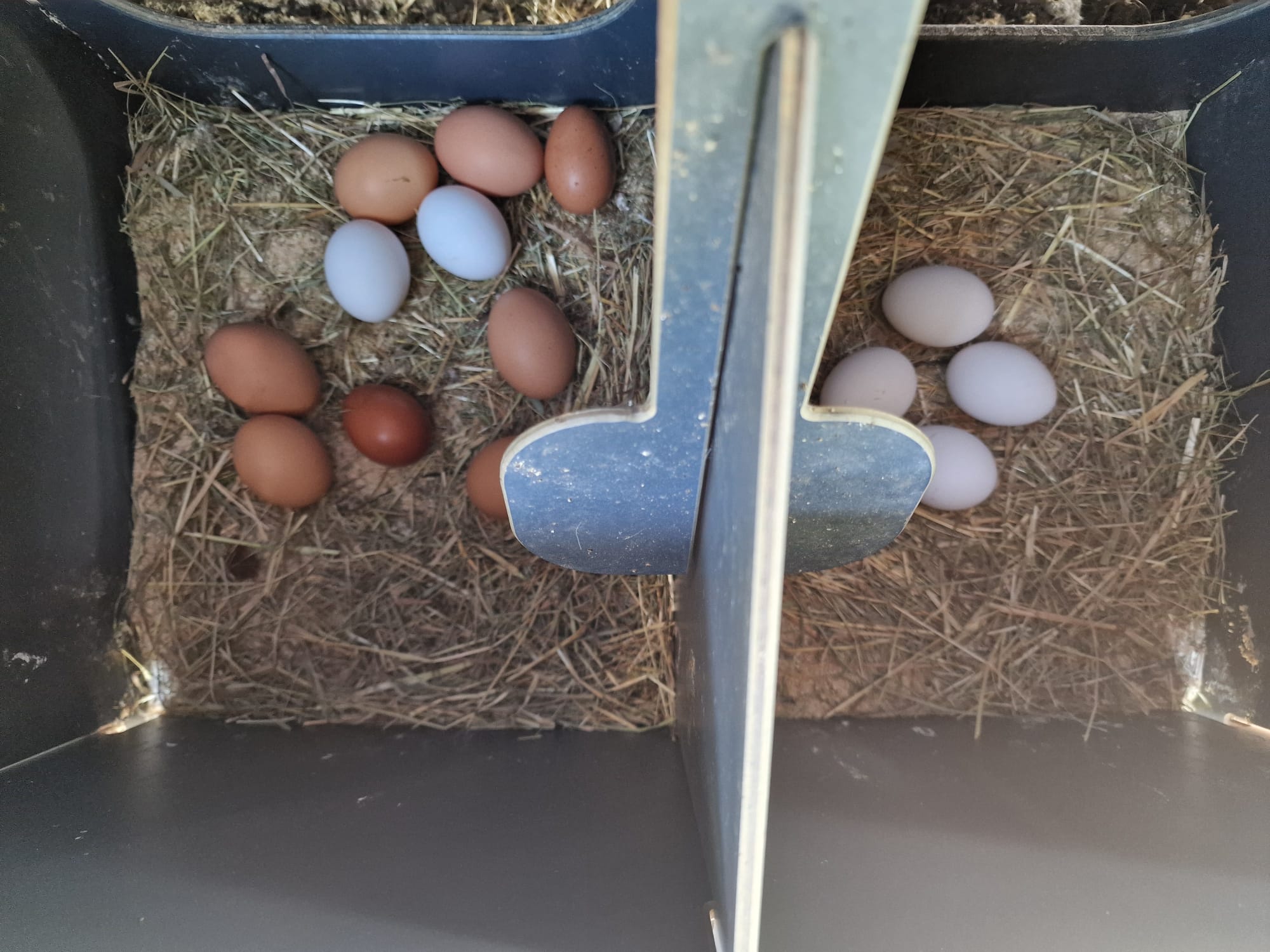 Mangiatoia Per Colibrì In Vetro Soffiato A Mano, 4 Posatoi, A Prova Di Formiche E Perdite, Decorazione Da Giardino, Regalo Per Donne