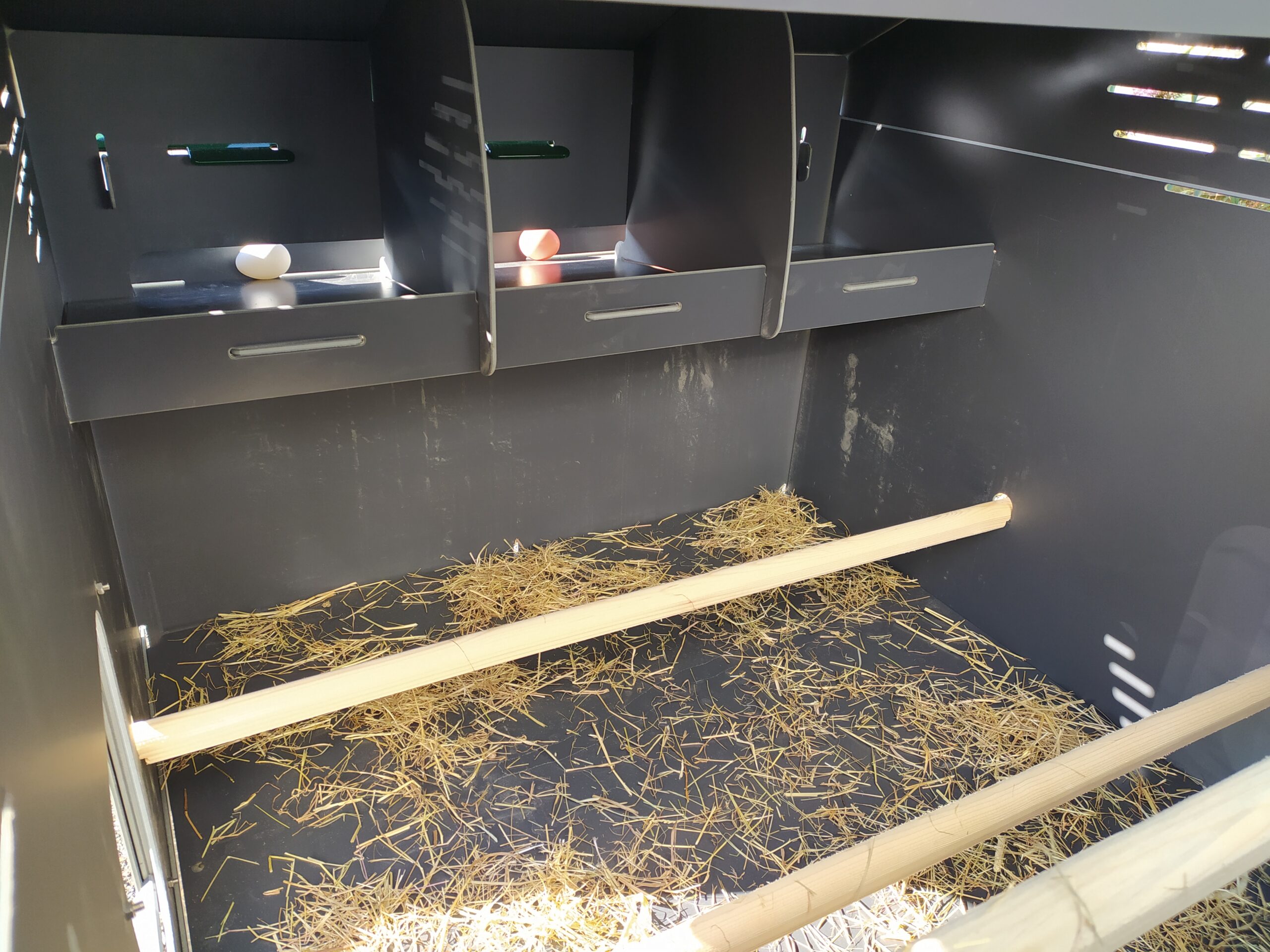 Nido gabbia cesto per galline ovaiole raccolta deposizione uova galline