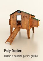 polly dúplex