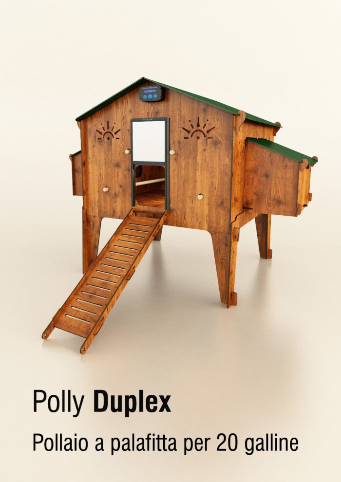 Polly Duplex
