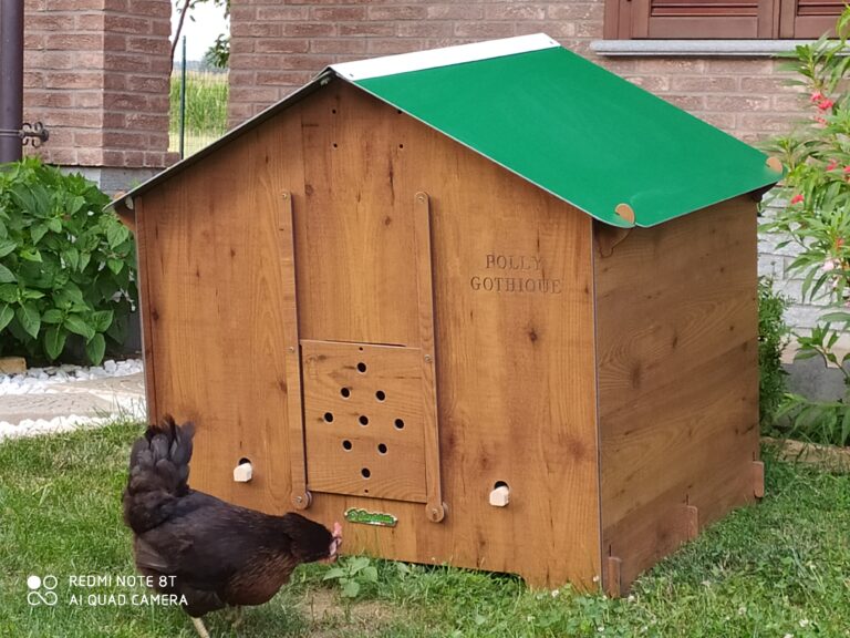 polly gothique chicken coop