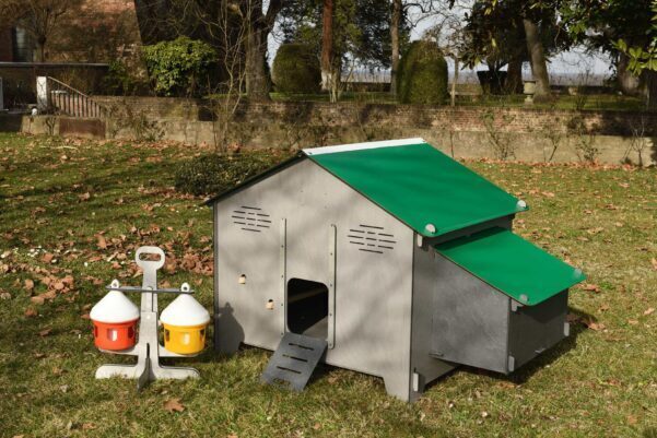 gallinero para gallinas ponedoras cucciolotta polly maxi country