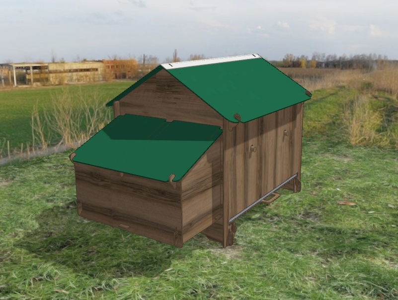 domestic chicken coop