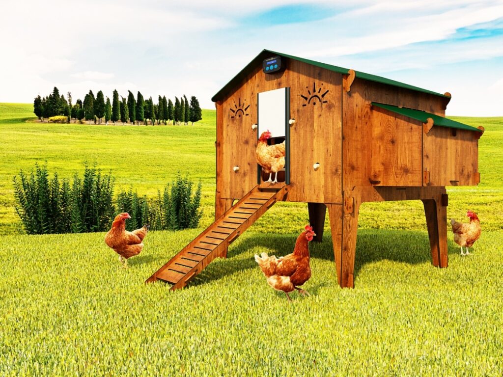 casa de gallinas