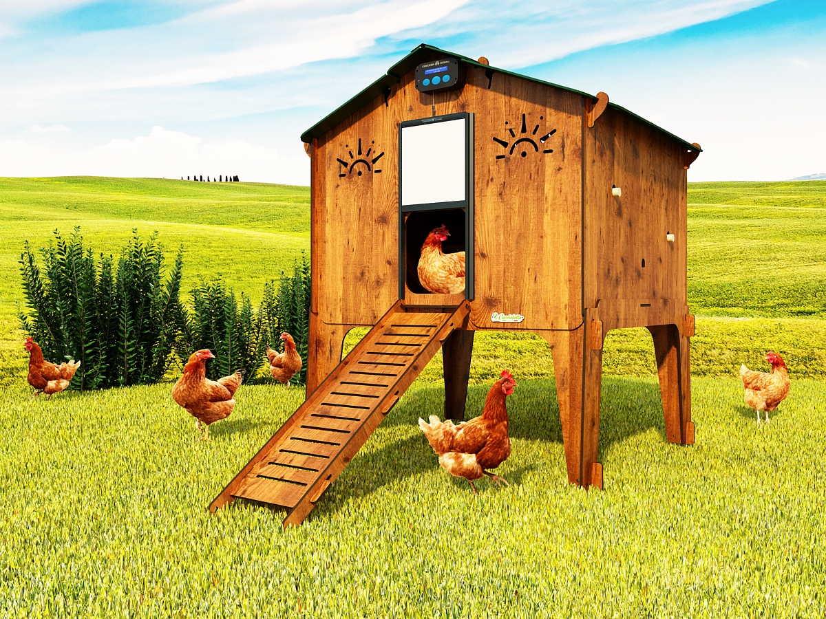 Ferplast Gallinero casa para pollos y gallinas ponedoras HEN HOUSE
