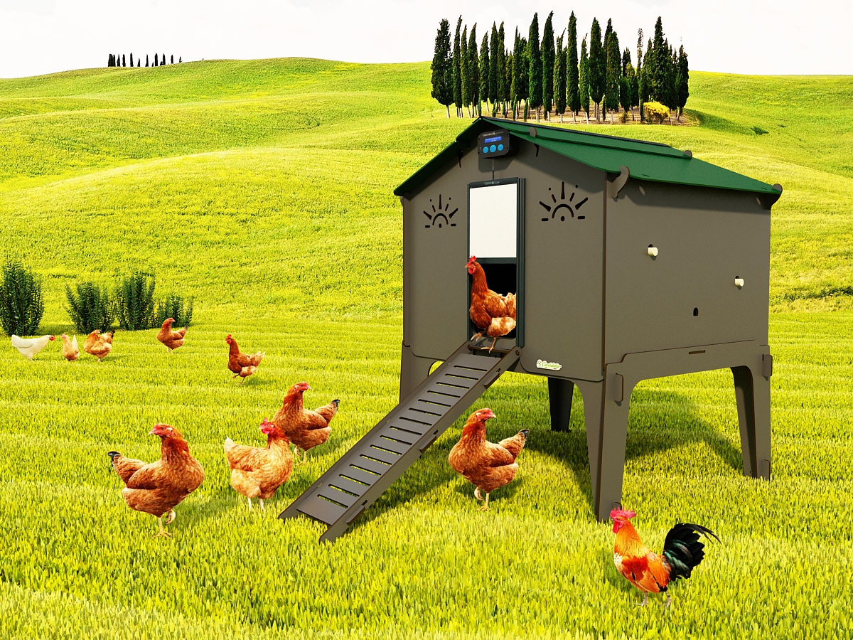 POLLY DUPLEX GREY L Gallinero elevado para 8/10 gallinas en laminado  antiácaros hpl - Cucciolotta