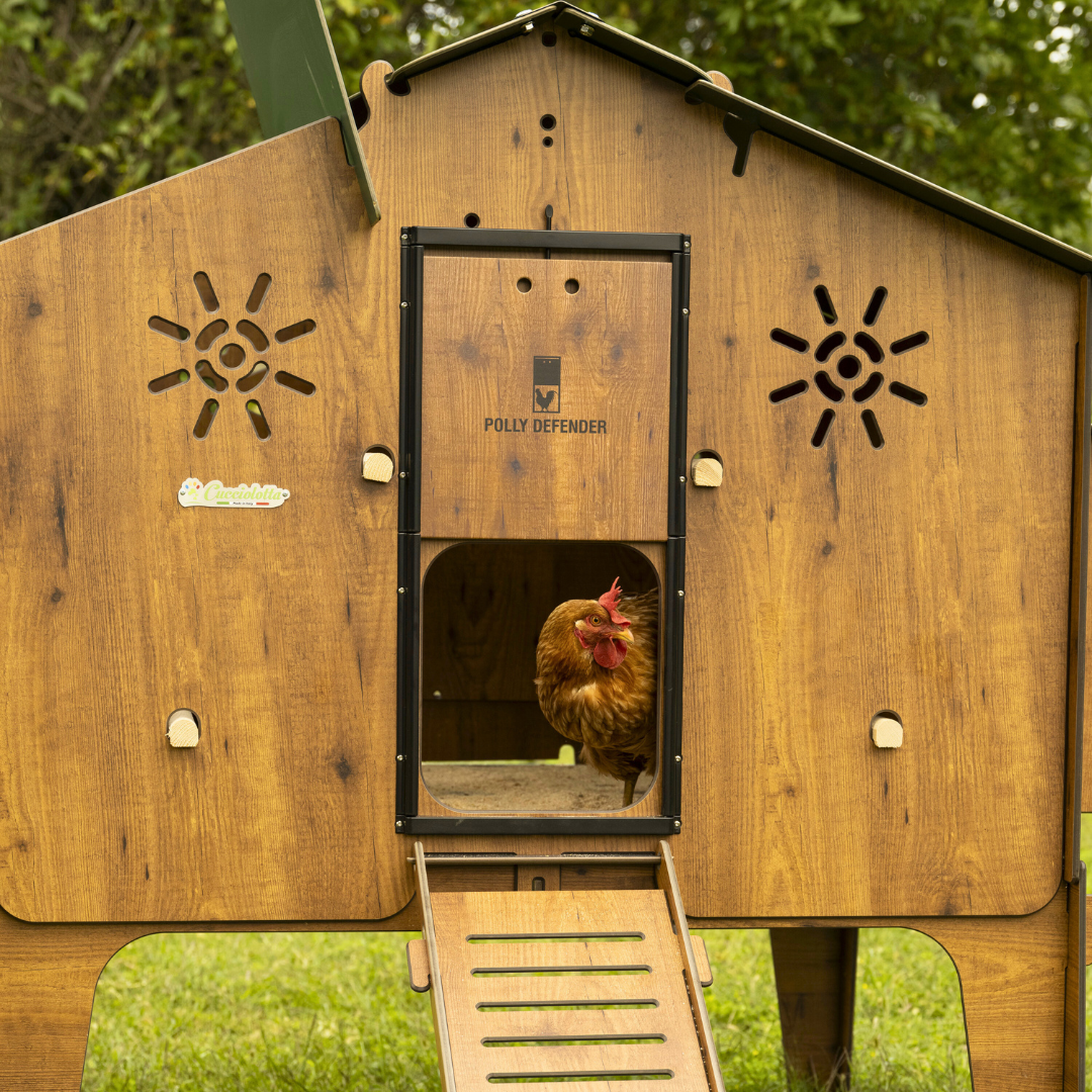 イタリア製産卵鶏用ガーデン鶏小屋 |小さな子犬