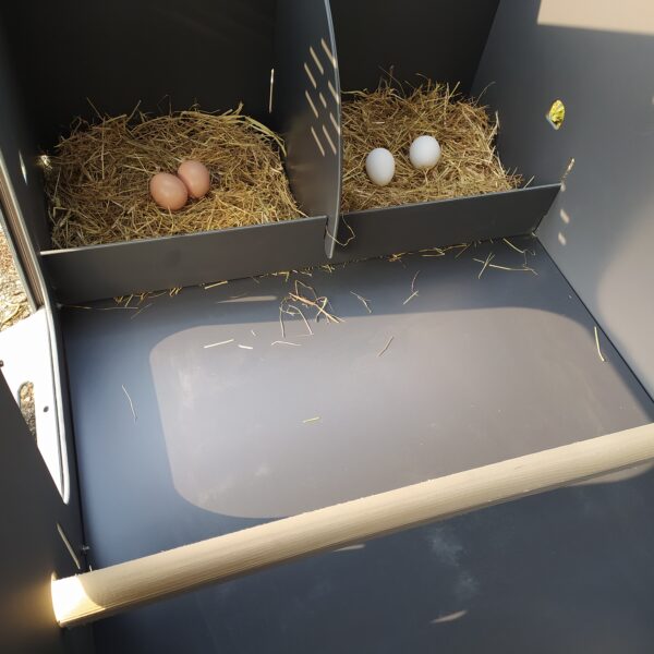 Pollaio per 6 / 8 galline ovaiole / ornamentali POLLY FARM 2XL colore fine serie - immagine 3