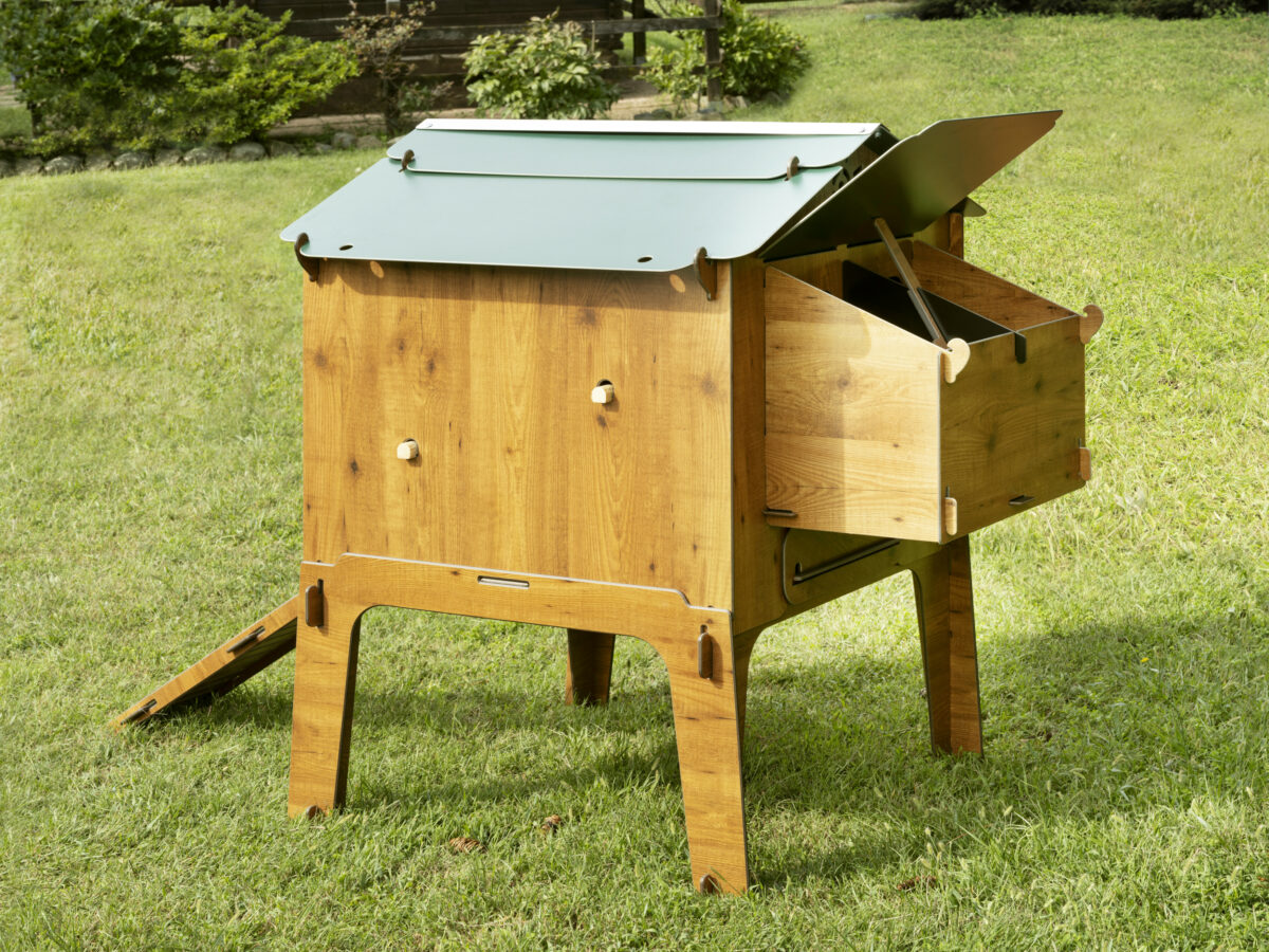 Kip Speelgoed, 6 Stuks Kip Speelgoed Voor Coop, Kip Swing En Xylofoon Speelgoed Papegaai Kip Kleur