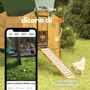 Pollai da Giardino per Galline Ovaiole Made in Italy | Cucciolotta