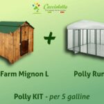 Pollaio per 6 galline con cassetto removibile 2 posatoi 2 nidi esterni POLLY CLASSIC Rialzato L
