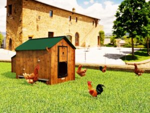 galline