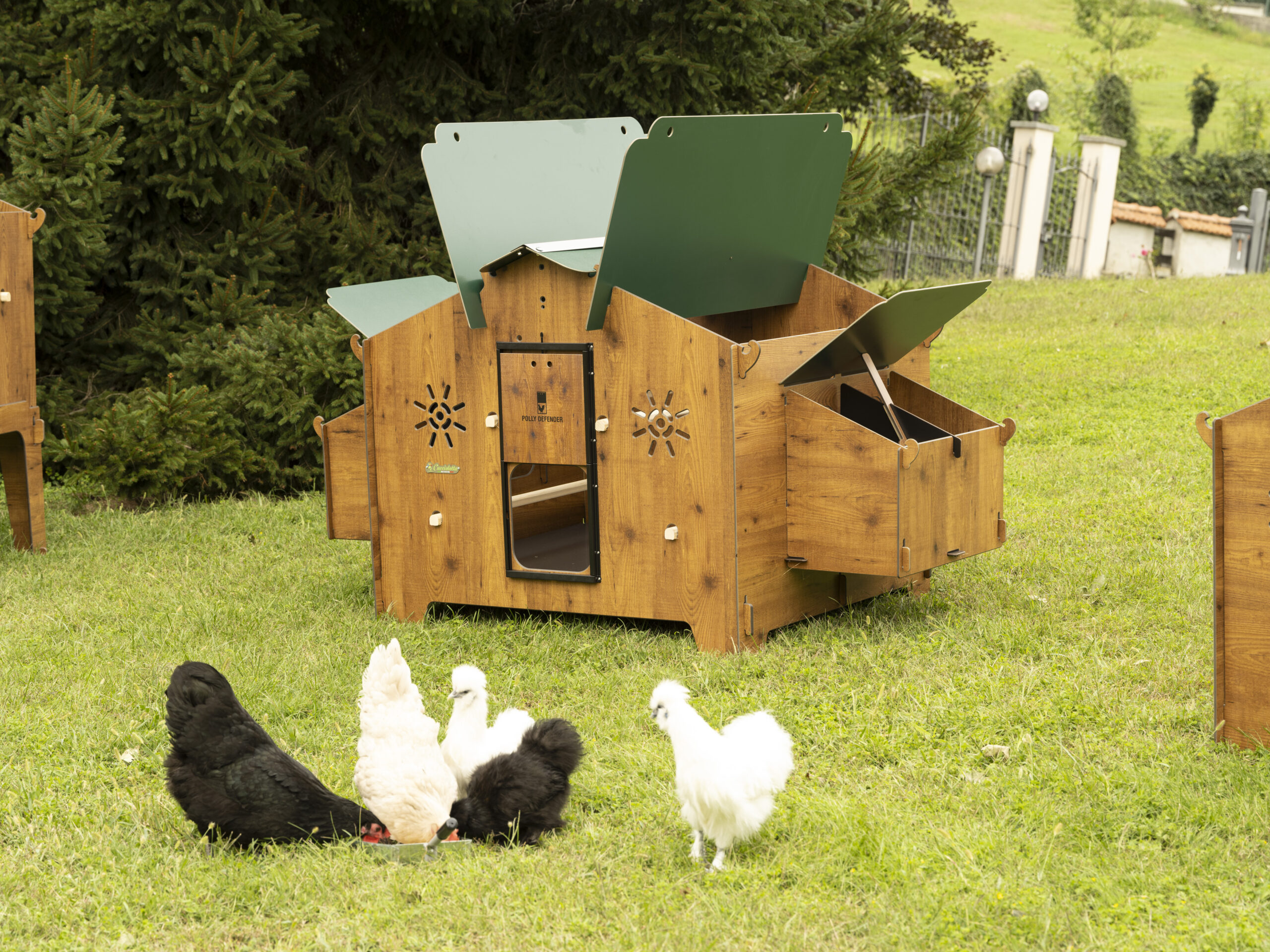 pollaio per galline