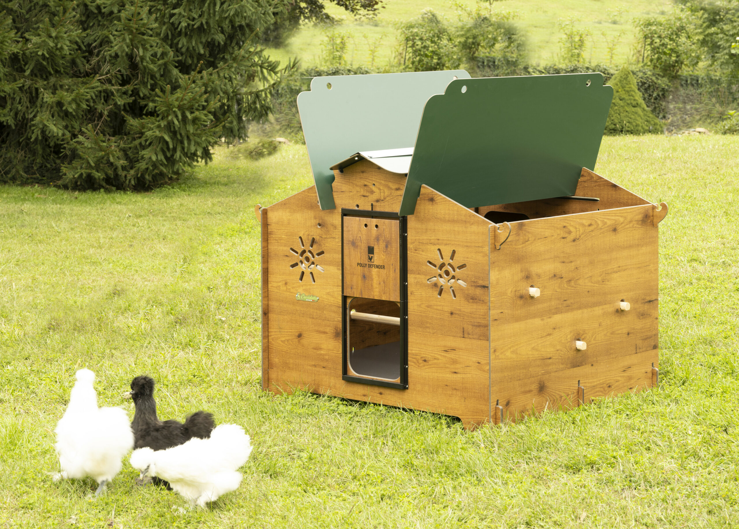 casette per galline